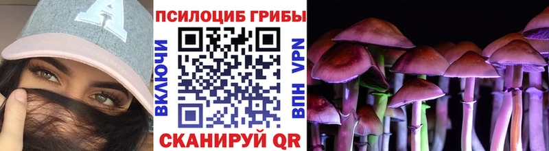 Псилоцибиновые грибы ЛСД  Козельск 